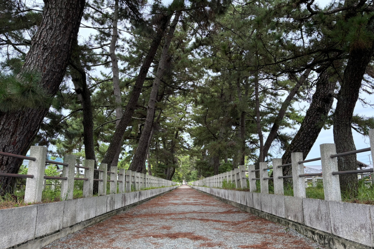 建築を、原寸で考える。法隆寺で開催された建築学生ワークショップ2026 02
